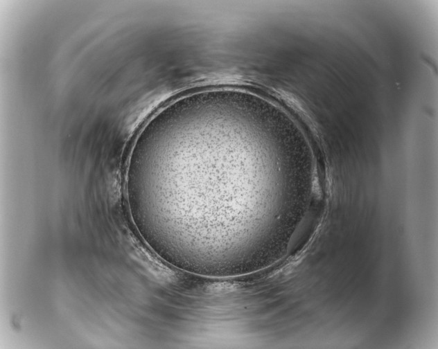 X0000102511212200808151538