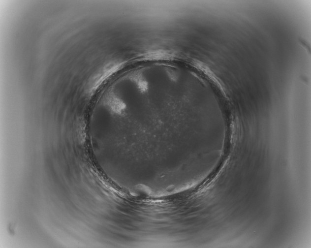X0000102511213200808151538
