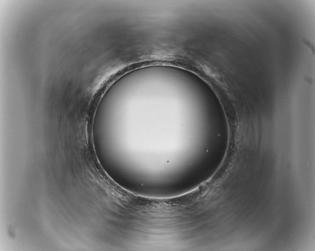 X0000102511214200808151538