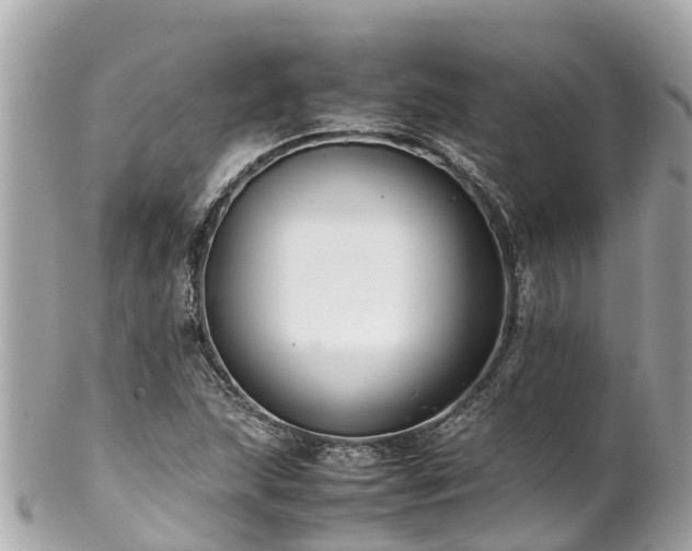 X0000102511215200808151538