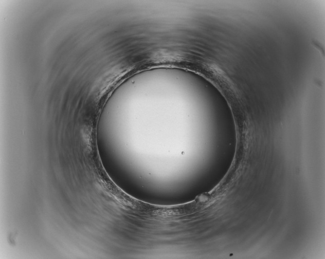 X0000102511217200808151538