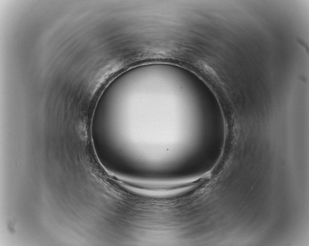 X0000102511218200808151538