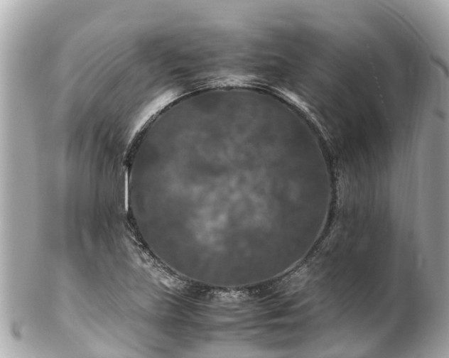 X0000102511219200808151538