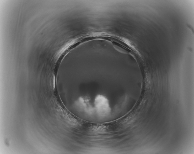 X0000102511221200808151538