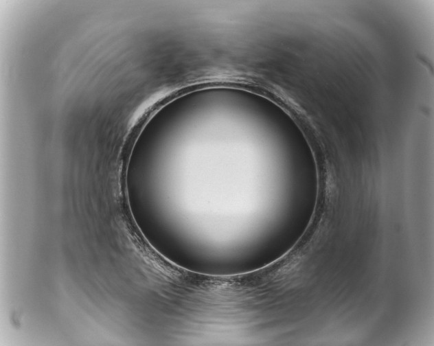 X0000102511222200808151538