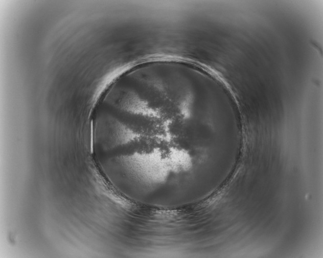 X0000102511223200808151538