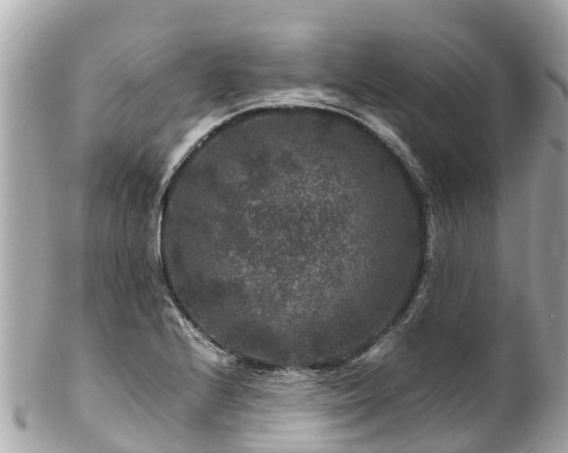 X0000102511224200808151538