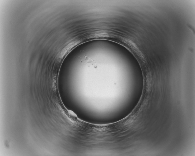 X0000102511225200808151538