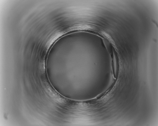 X0000102511226200808151538