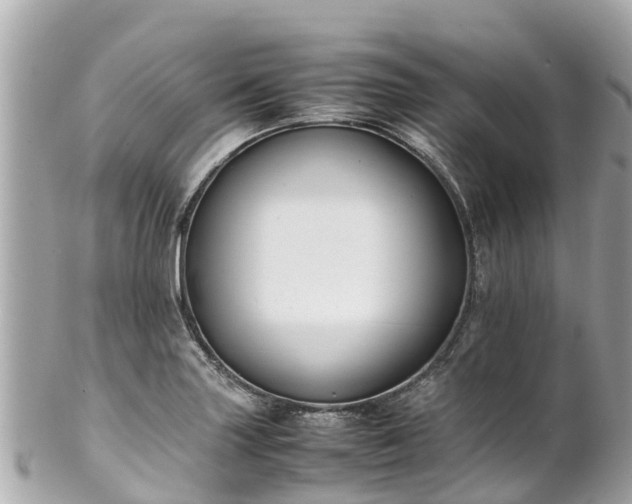 X0000102511227200808151538