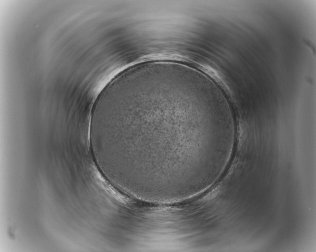 X0000102511228200808151538