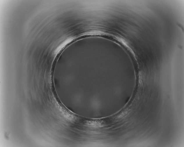 X0000102511229200808151538