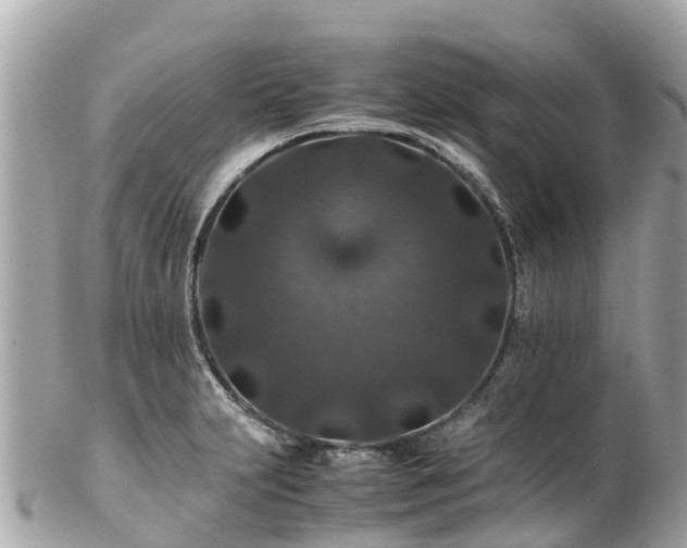 X0000102511231200808151538