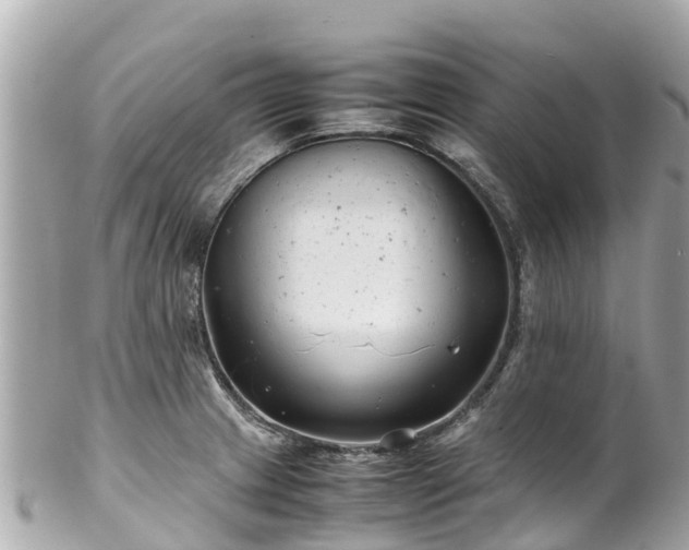 X0000102511233200808151538