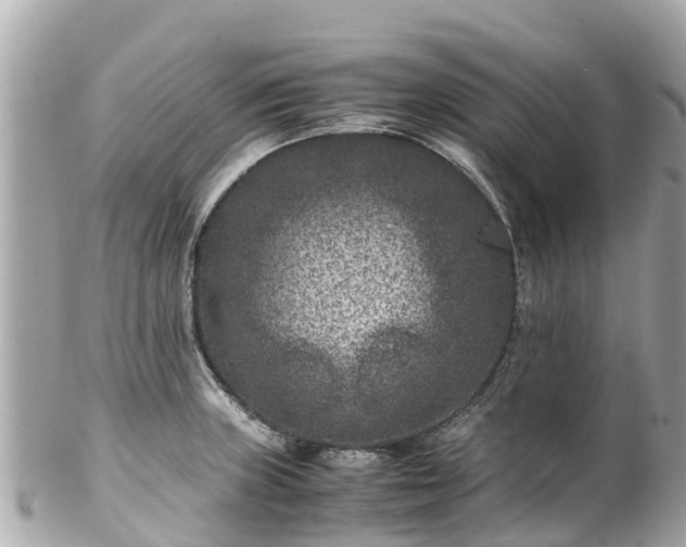 X0000102511235200808151538