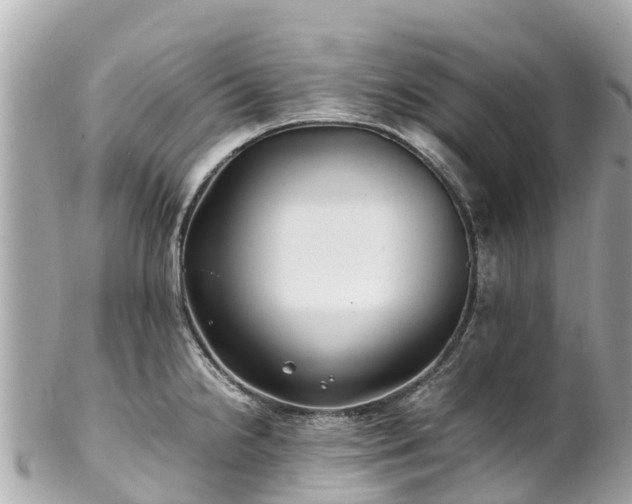 X0000102511238200808151538