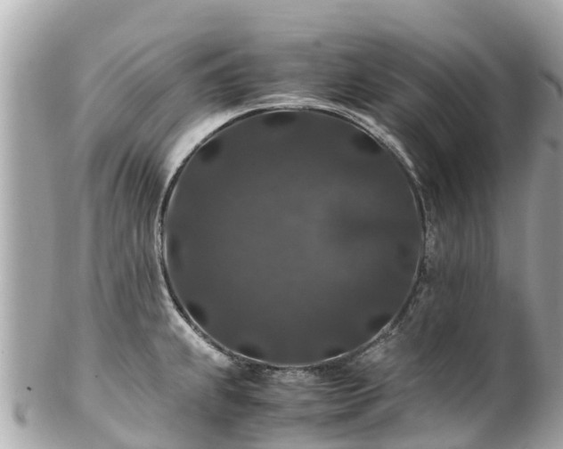 X0000102511239200808151538
