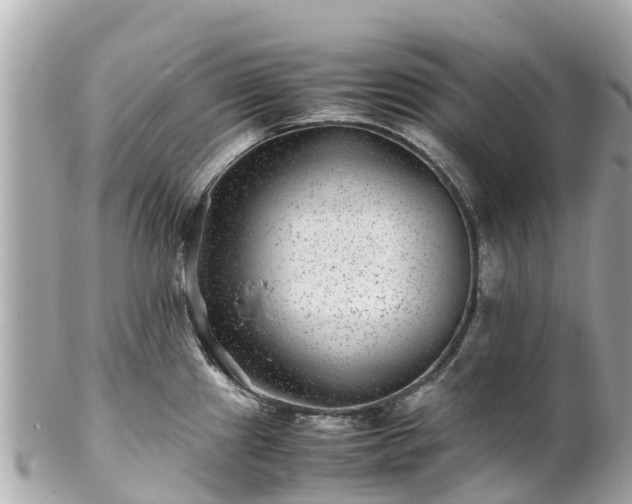 X0000102511241200808151538
