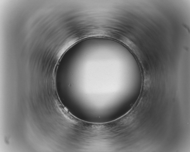 X0000102511242200808151538