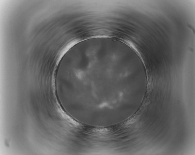 X0000102511243200808151538