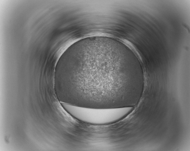 X0000102511244200808151538