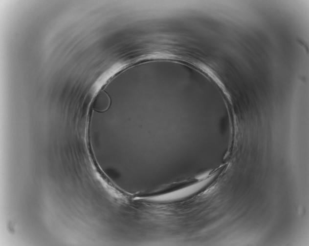 X0000102511245200808151538