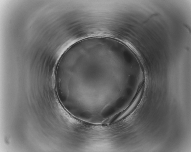 X0000102511246200808151538
