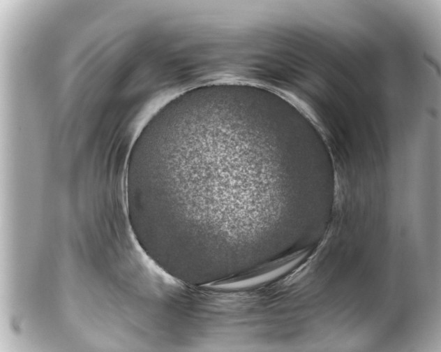 X0000102511247200808151538