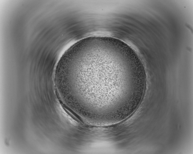 X0000102511248200808151538
