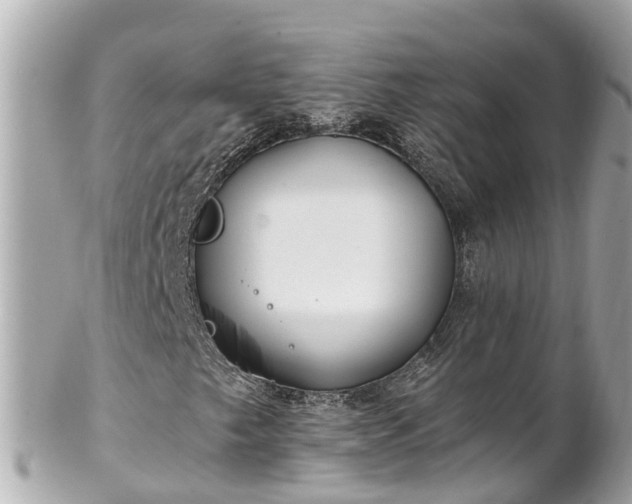 X0000102511249200808151538