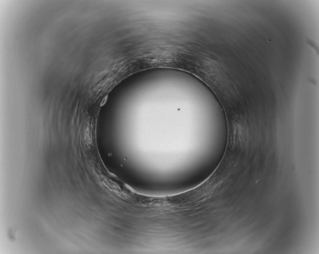 X0000102511250200808151538