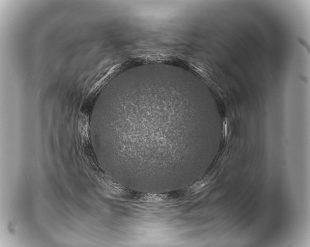 X0000102511251200808151538