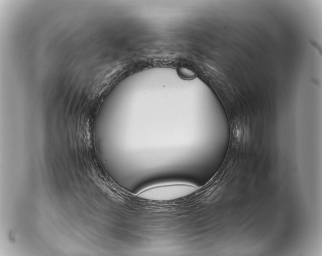 X0000102511252200808151538