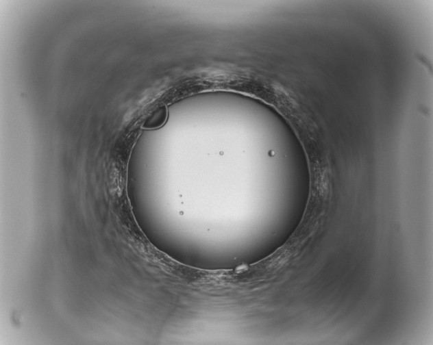 X0000102511253200808151537