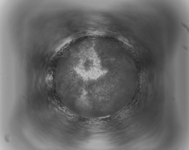 X0000102511254200808151537