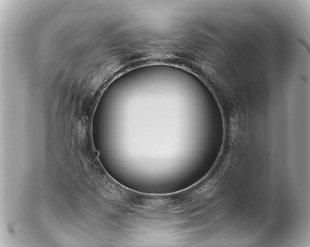 X0000102511257200808151537