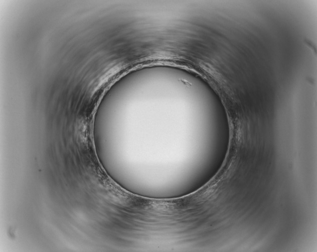 X0000102511258200808151537
