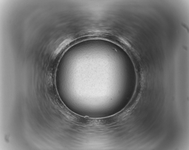 X0000102511259200808151537