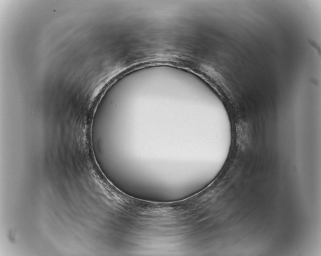 X0000102511260200808151537