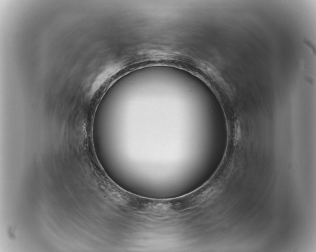 X0000102511261200808151537