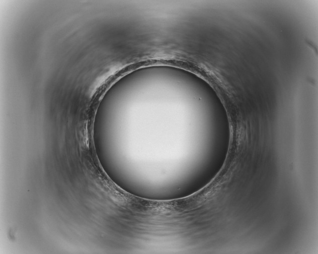 X0000102511262200808151537