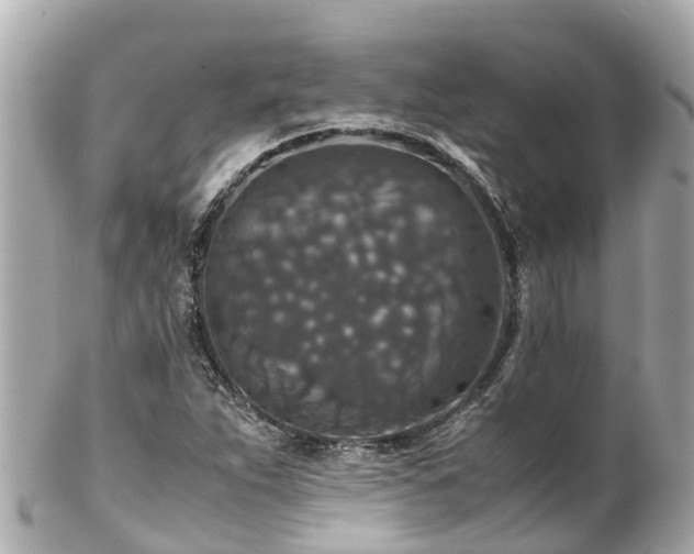 X0000102511263200808151537