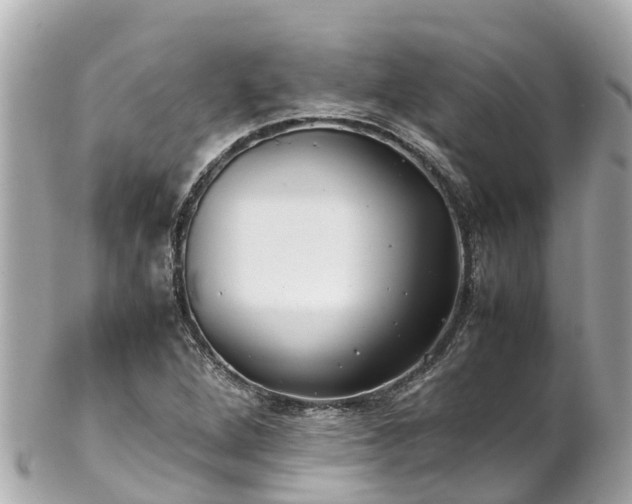 X0000102511264200808151537