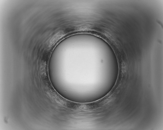X0000102511265200808151537