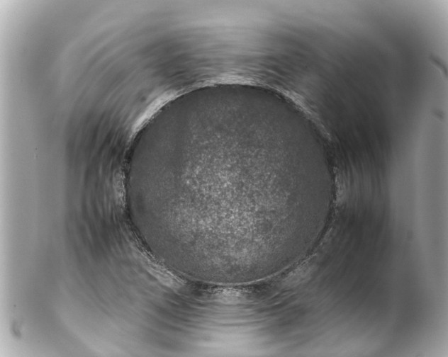 X0000102511266200808151537