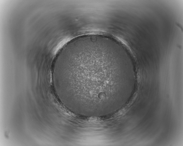 X0000102511267200808151537
