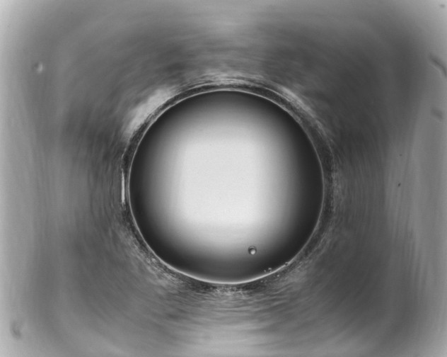 X0000102511269200808151537