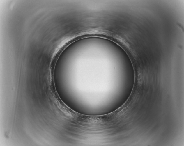 X0000102511270200808151537