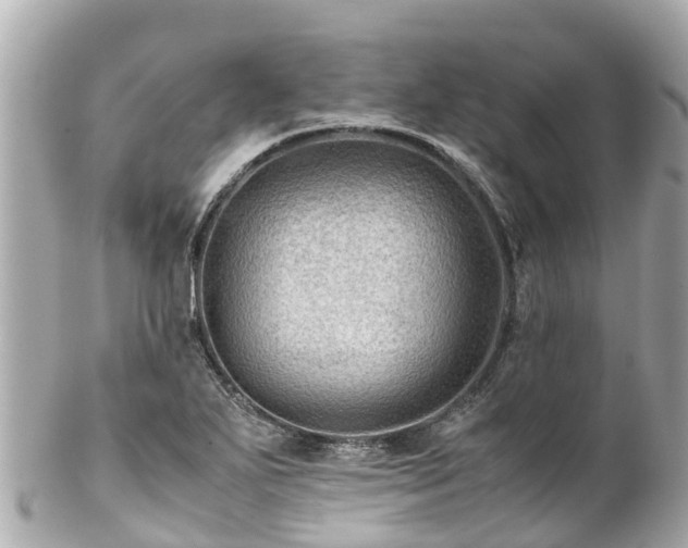 X0000102511271200808151537