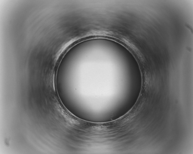 X0000102511272200808151537